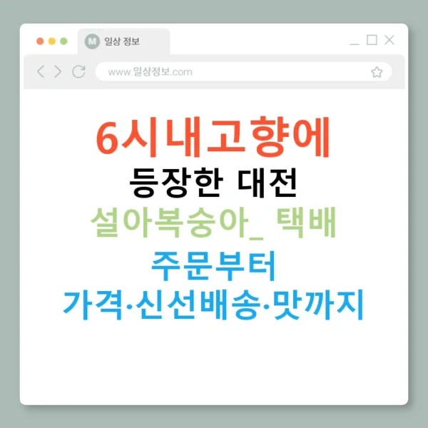 6시내고향에 등장한 대전 설아복숭아: 택배 주문부터 가격·신선배송·맛까지