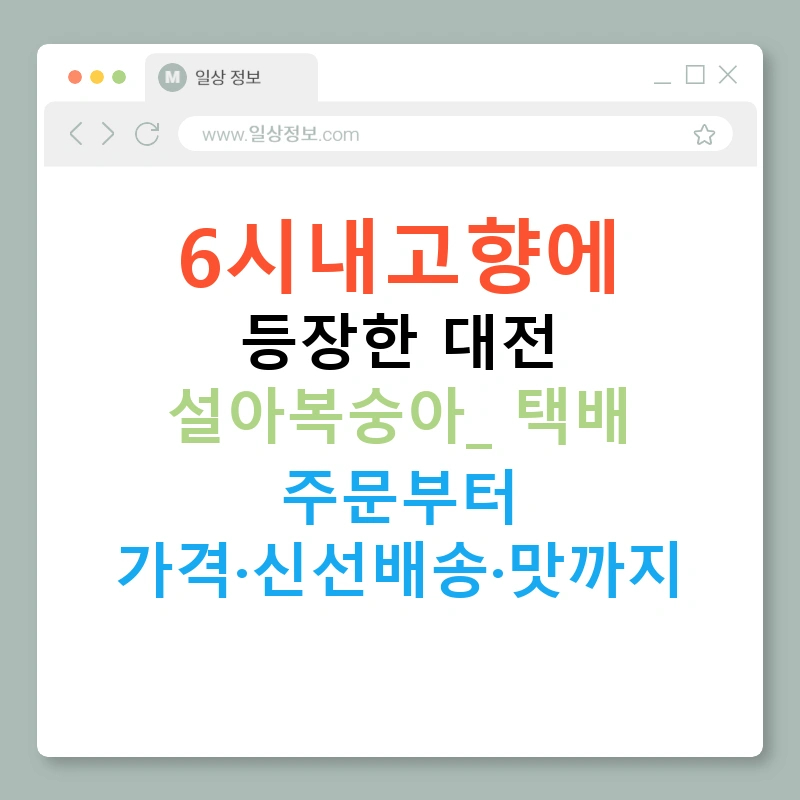 6시내고향에 등장한 대전 설아복숭아: 택배 주문부터 가격·신선배송·맛까지
