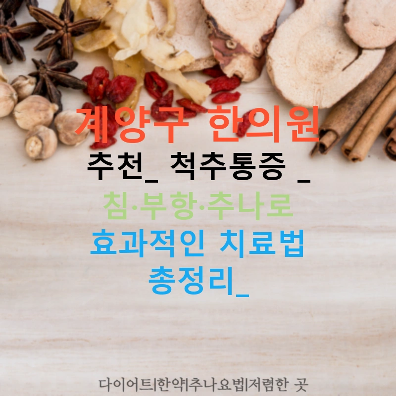 계양구 한의원 추천: 척추통증 | 침·부항·추나로 효과적인 치료법 총정리!