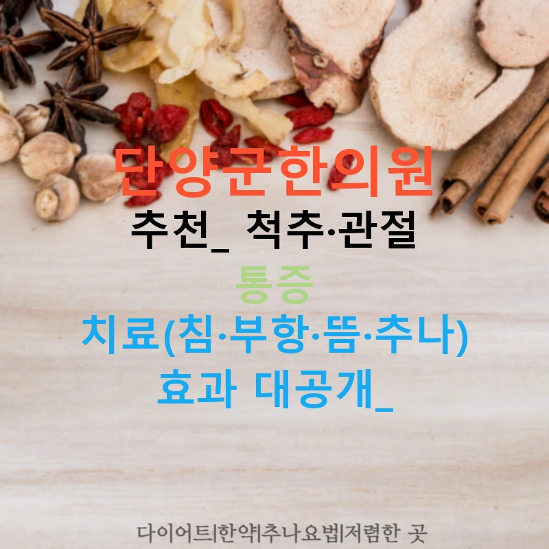 단양군한의원 추천: 척추·관절 통증 치료(침·부항·뜸·추나) 효과 대공개!
