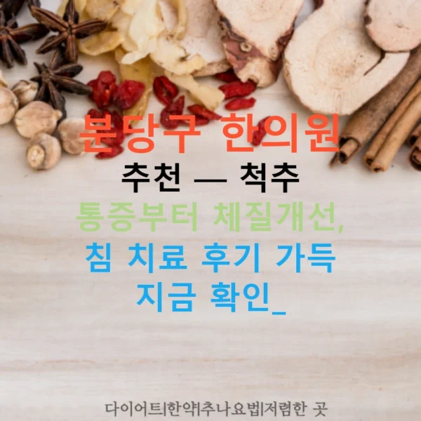 분당구 한의원 추천 — 척추 통증부터 체질개선, 침 치료 후기 가득 지금 확인!