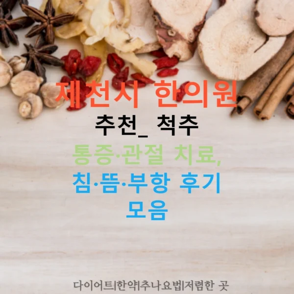 제천시 한의원 추천: 척추 통증·관절 치료, 침·뜸·부항 후기 모음