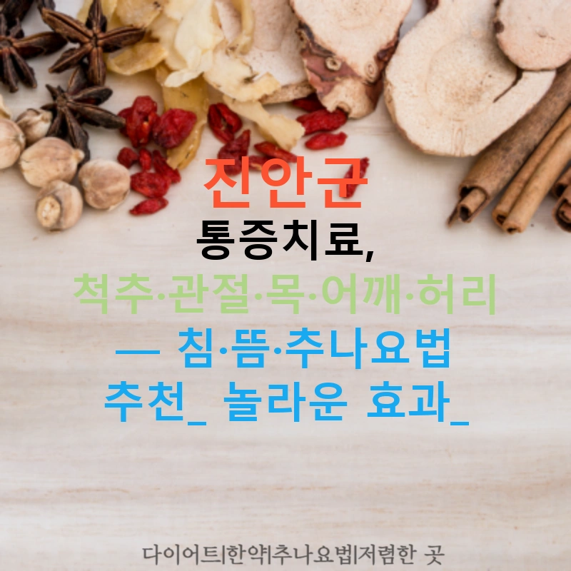 진안군 통증치료, 척추·관절·목·어깨·허리 — 침·뜸·추나요법 추천! 놀라운 효과!